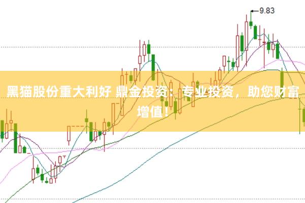 黑猫股份重大利好 鼎金投资：专业投资，助您财富增值！