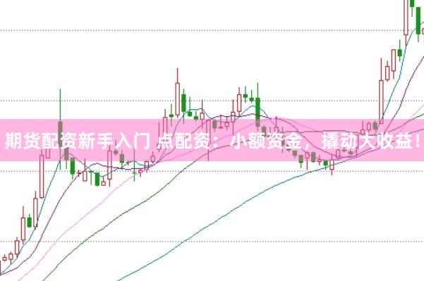 期货配资新手入门 点配资：小额资金，撬动大收益！