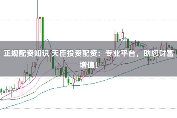 正规配资知识 天臣投资配资：专业平台，助您财富增值！