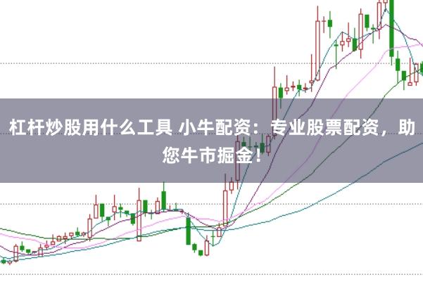 杠杆炒股用什么工具 小牛配资：专业股票配资，助您牛市掘金！