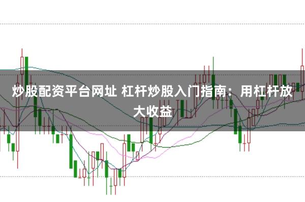 炒股配资平台网址 杠杆炒股入门指南：用杠杆放大收益