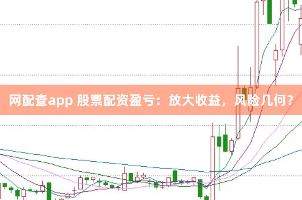 网配查app 股票配资盈亏：放大收益，风险几何？