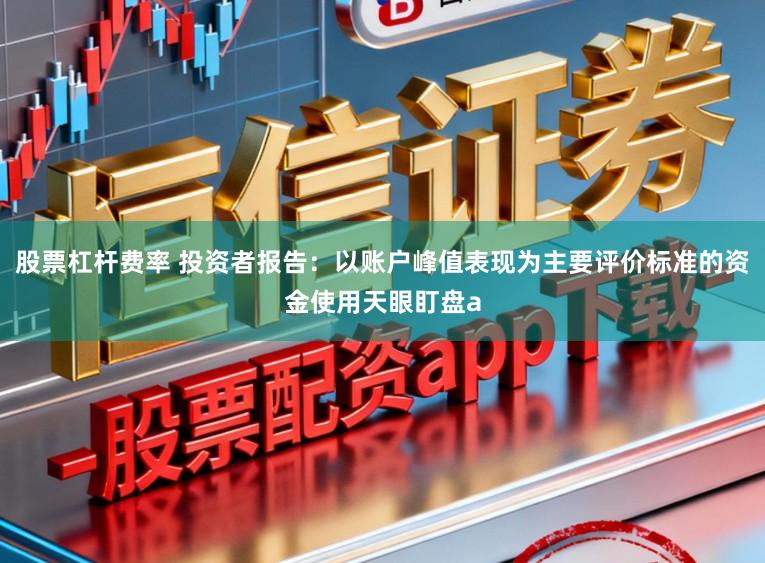 股票杠杆费率 投资者报告：以账户峰值表现为主要评价标准的资金使用天眼盯盘a