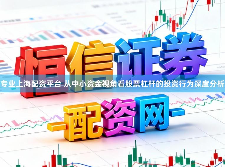 专业上海配资平台 从中小资金视角看股票杠杆的投资行为深度分析